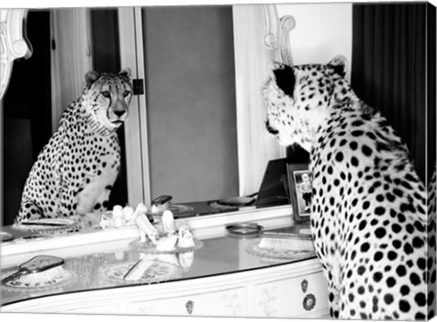 Framed Cheetah Looking in Mirror Print