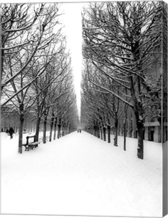 Framed Tuileries Garden under the Snow, Paris Print