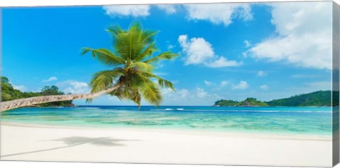 Framed Tropical Beach, Seychelles Print