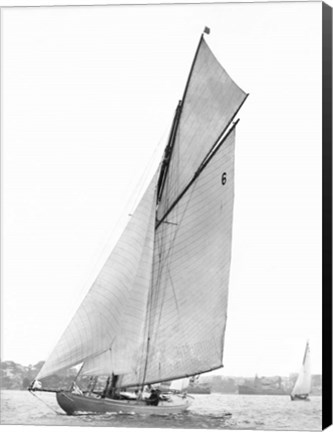 Framed Sailing in Sydney Harbour Print