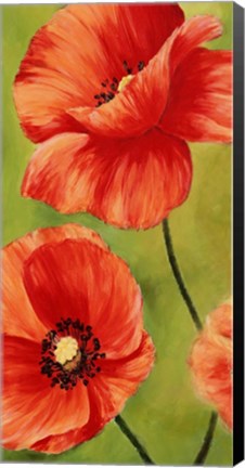 Framed Poppies in the Wind I Print