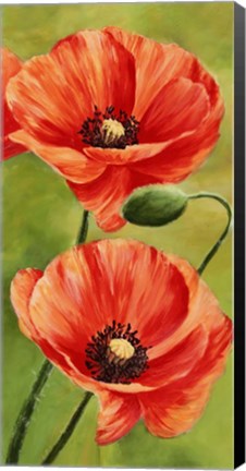 Framed Poppies in the Wind II Print