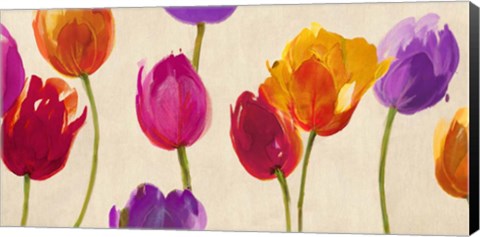 Framed Tulips &amp; Colors Print