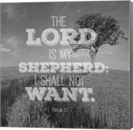 Framed Psalm 23 The Lord is My Shepherd - Field Print