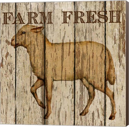 Framed Farm Fresh Lamb Print