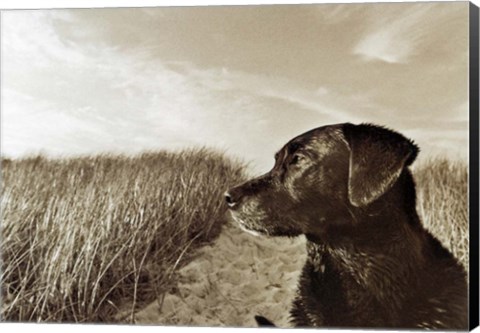 Framed At the Beach Print