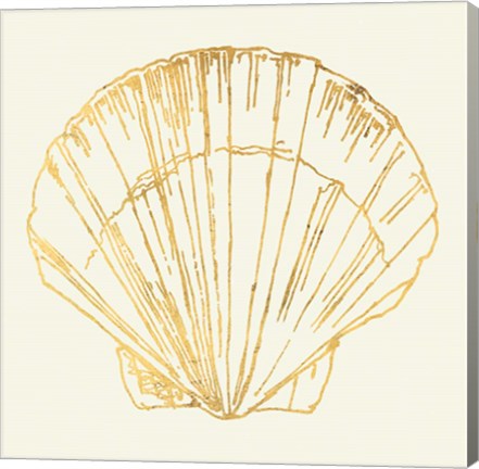 Framed Coastal Breeze Shell Sketches V Print