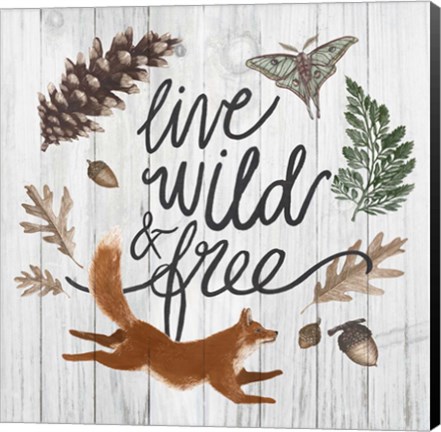 Framed Live Wild and Free Print