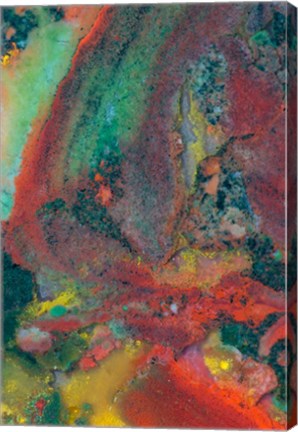 Framed Christmas Jasper 2 Print