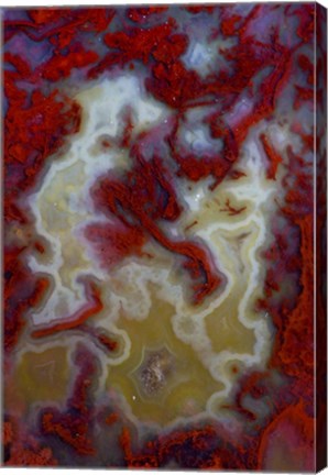 Framed Red Moss Agate Slab Print