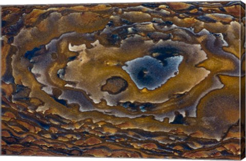 Framed Swirl Pattern on Deschutes Jasper Slab Print