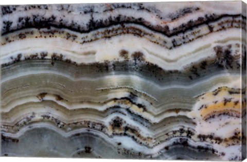 Framed Silver Lace Onyx 2 Print