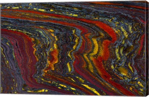 Framed Tiger Iron in Red, Yellow, Blue Print