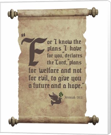 Framed Jeremiah 29:11 For I know the Plans I have for You (Dove on Scroll) Print