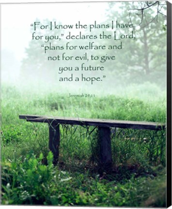 Framed Jeremiah 29:11 For I know the Plans I have for You (Wooden Bench) Print