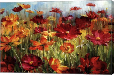 Framed Cosmos In The Field Print