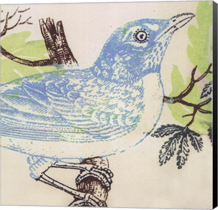 Framed Bluebird Print