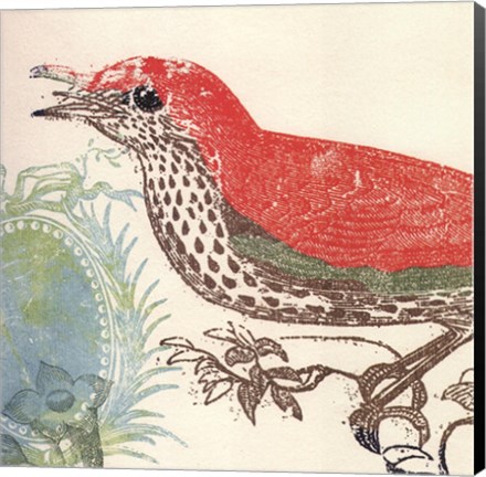 Framed Red Bird Print