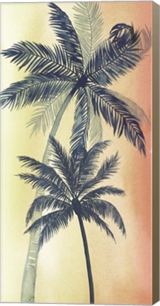 Framed Vintage Palms II Print