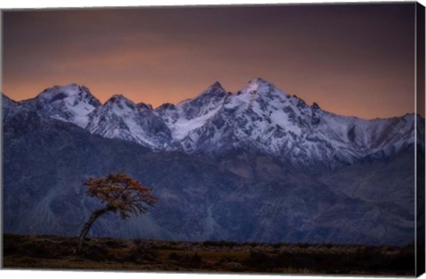 Framed Tree and the Mountain Print