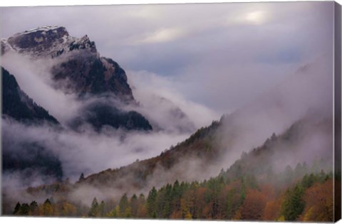 Framed Mountain Fog Print