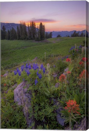 Framed Flower Sunset Print