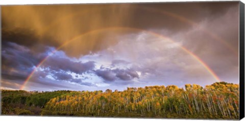 Framed Double Rainbow Print