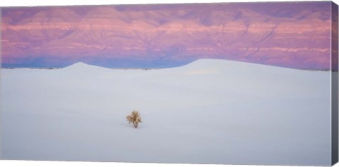 Framed Salt Dunes Print