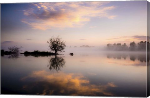 Framed Evening Reflections Print