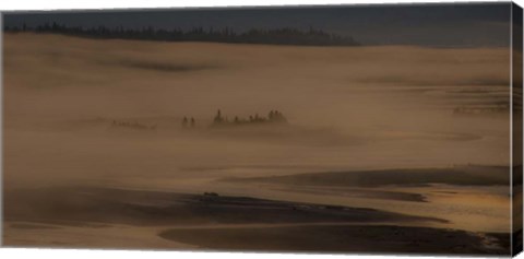 Framed Trees in the Fog Print