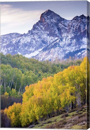 Framed Mountain Foliage 03 Print