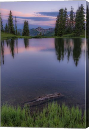 Framed Evergreen Reflections Print
