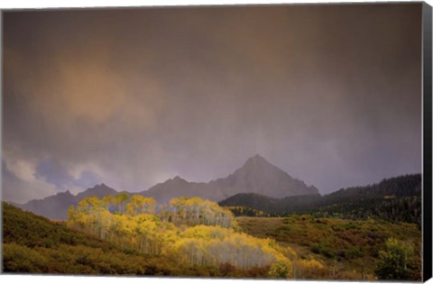 Framed Mountain Aspens Print