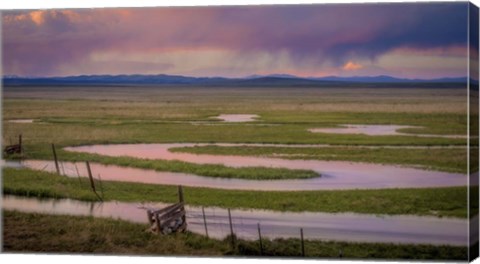 Framed Serpentine River Print