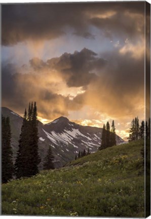Framed Mountain Evergreens Print