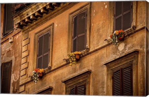 Framed Shutters Print