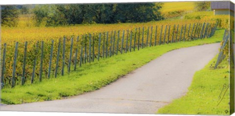 Framed Road along Fields Print