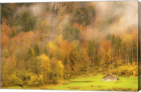 Framed Fall Colors Print