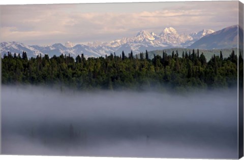 Framed Fog Print