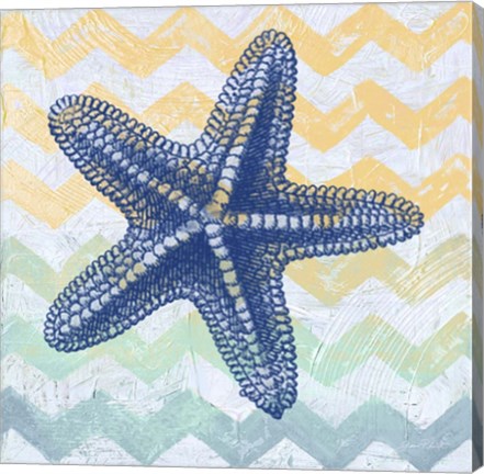 Framed Chevron Star Fish Print