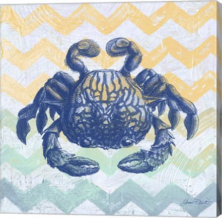 Framed Sea Creatures - Crab Print