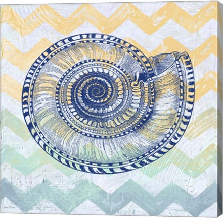 Framed Sea Creatures - Shell I Print