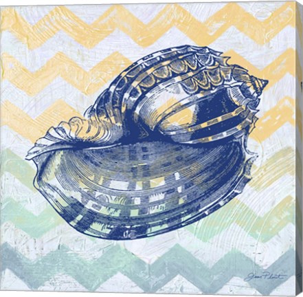 Framed Sea Creatures -Shell II Print