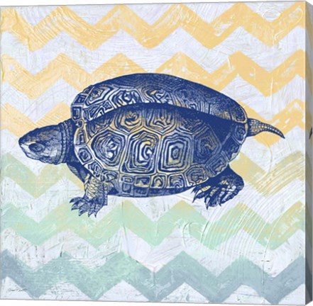 Framed Sea Creatures - Turtle Print