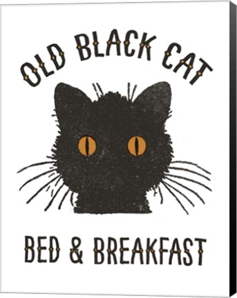 Framed Old Black Cat Print