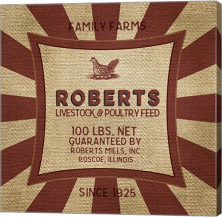 Framed Roberts Starburst Feed Sack Print