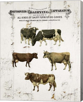 Framed Dairy Cows Print