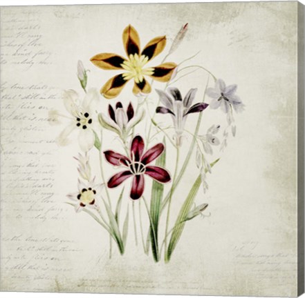 Framed Wild Flowers One Print