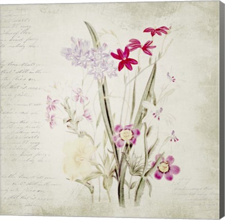 Framed Wild Flowers Two Print