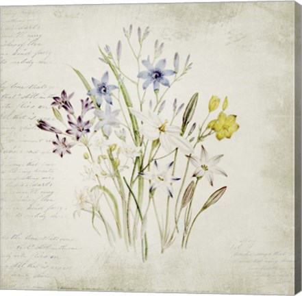 Framed Wild Flowers Three Print